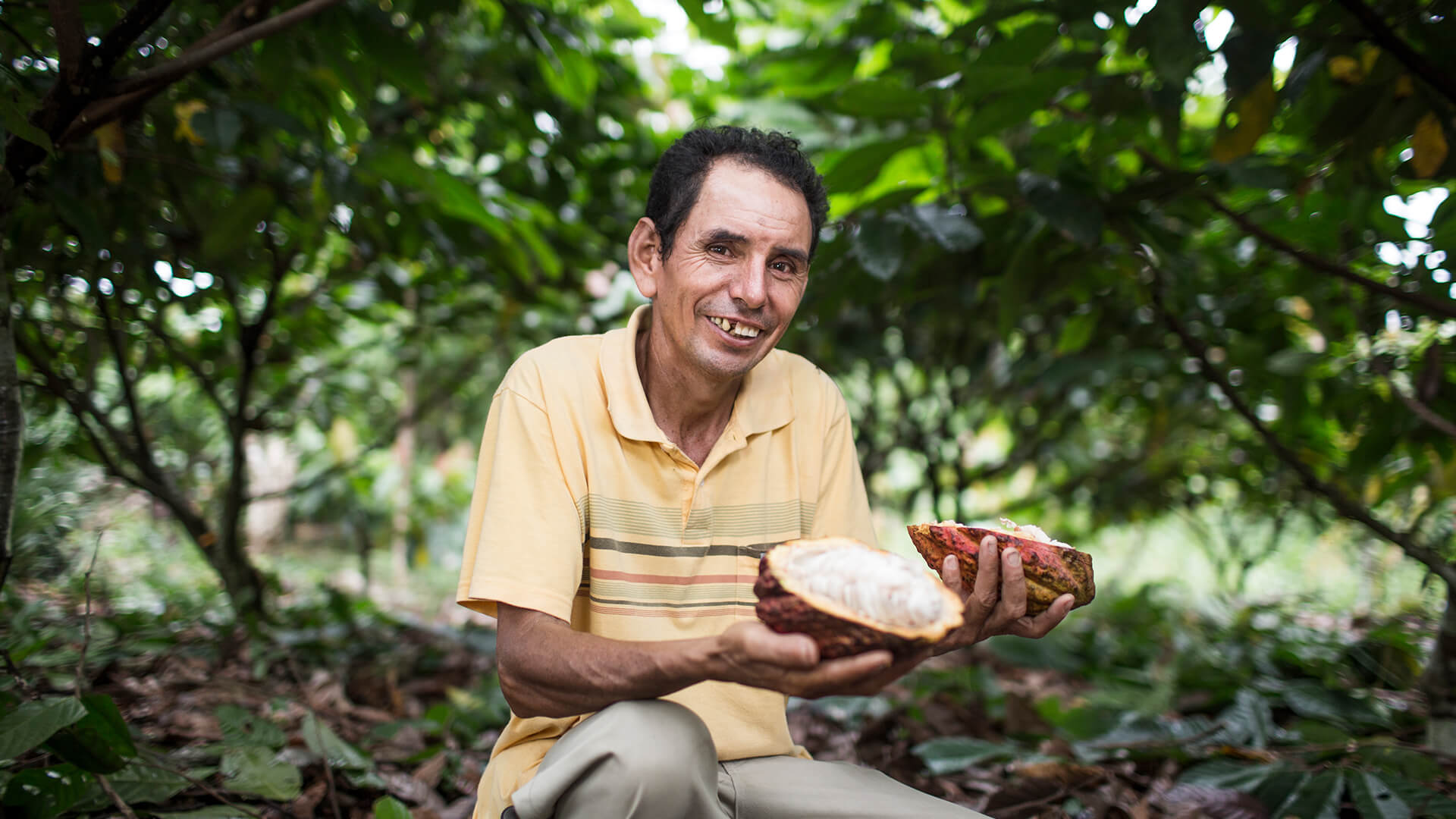 Von Kokabauern zu Kakaoexporteuren